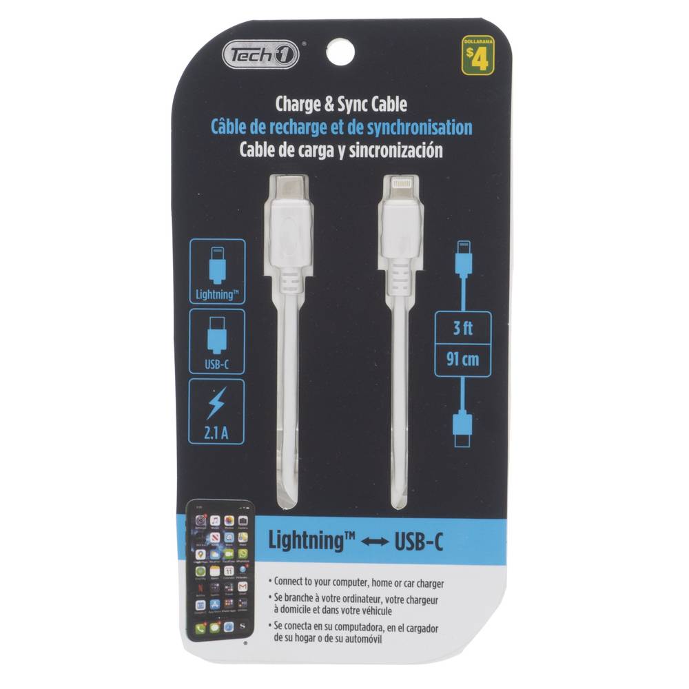 Câble de Charge et Synchronisation Lightning vers USB-C 3ft (91cm) - 2.1A | iPhone, iPad